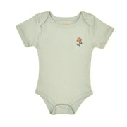 Set Body + Short Bombacho Verde/ Verde Mariposas algodón rib